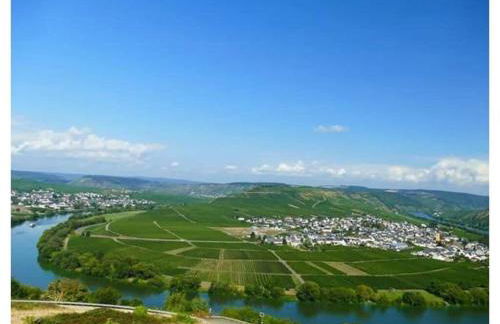 Holiday Apartment Moselle Beach 1 - Foto 51