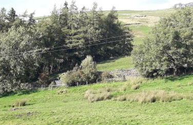 Hedgehog's Hideaway,a peaceful retreat in Nenthead - Foto 22