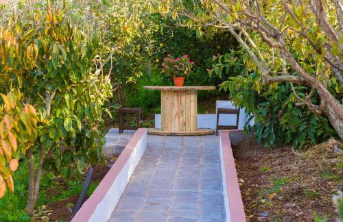 Casa Cueva Villa Aday - Foto 40