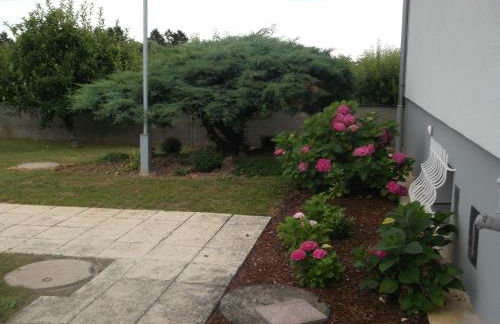 Eguisheim village préféré des français grand studio - Foto 32