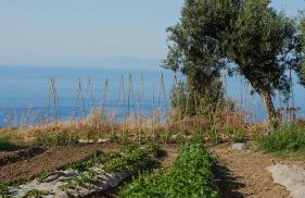 JATU Retreat - Photo 19