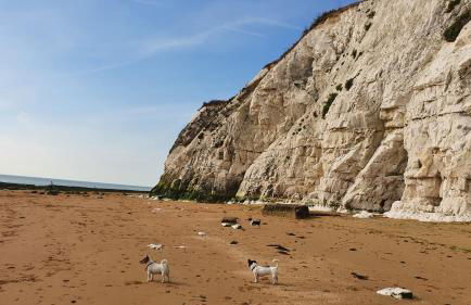 Marina Place - Foto 24