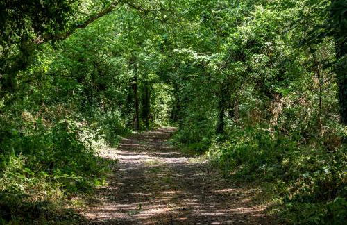 The Ski Club - Foto 43