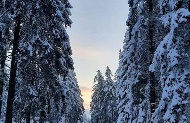 Holiday Home in the Belgian Eifel - Photo 42
