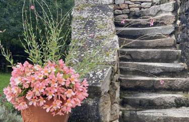 Domaine les Pierres - Foto 1