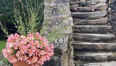 Domaine les Pierres - Foto 1