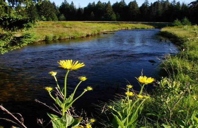 Quaint Holiday Home in Železná Ruda near Ski Area - Foto 26