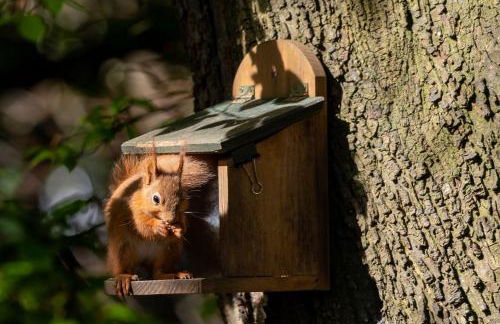 The Brackens - Photo 45