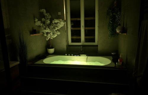 Le SPA - Villa Valmy - Hypercentre - Gare SNCF - Foto 11