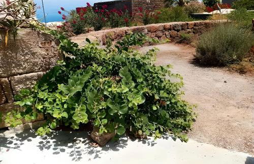 Dammuso Pantelleria - Fiori D'Ossidiana - Foto 38