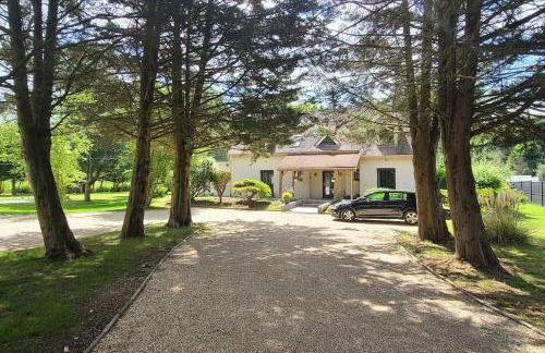 Mini maison Tiny house 6 per 3800m2 jardin Jacuzzi - Foto 13