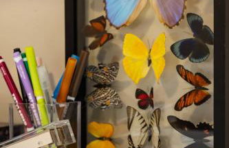 Optimist Abode 1: <7min to NoDa-Midwood-Uptown - Foto 19