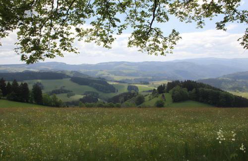 Lettwieshof Birgit und Peter Heine - Photo 63