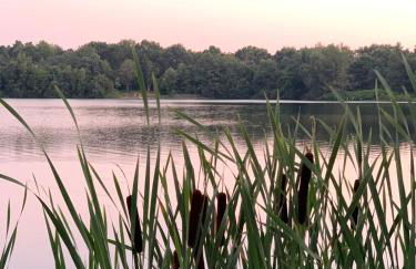 Ferienhaus Seestern am Harkebrügger See mit Sauna und Kamin - Foto 7