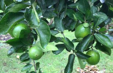 Casa paRABEns! - Foto 17