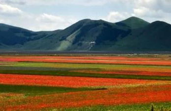 Il Nido Rosso - Foto 28