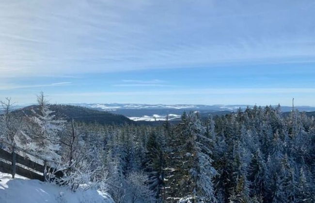 Pleasant Apartment in Stadtilm - Foto 20