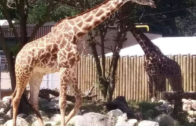 Studio Apartment Close to Notre Dame 1309 4 - Foto 12