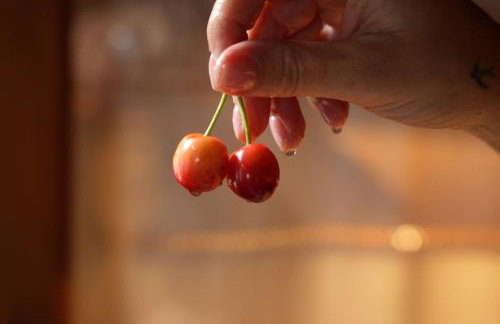 Stay Horizon #P1, Milies - Foto 28