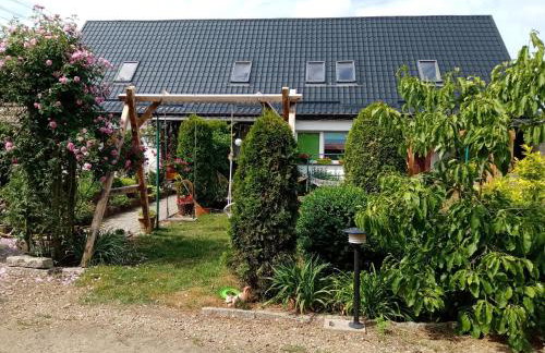 Gospodarstwo agroturystyczne - Foto 3