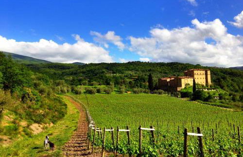 Castello Di Potentino - Foto 34