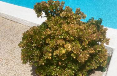 Vakantieverblijf Villa Kluever - Photo 6