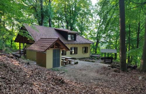 Holiday home Waldhaus Edelweiss - Foto 13