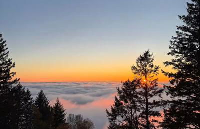 Apartment w hot tub forest & ocean view - Foto 27