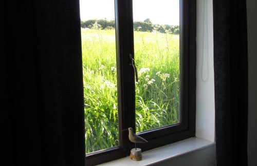 Ty Aelwyd - Photo 11