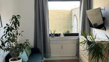 Q Apartment No 3 in BS - stadtnah im Grünen wohnen - Foto 4