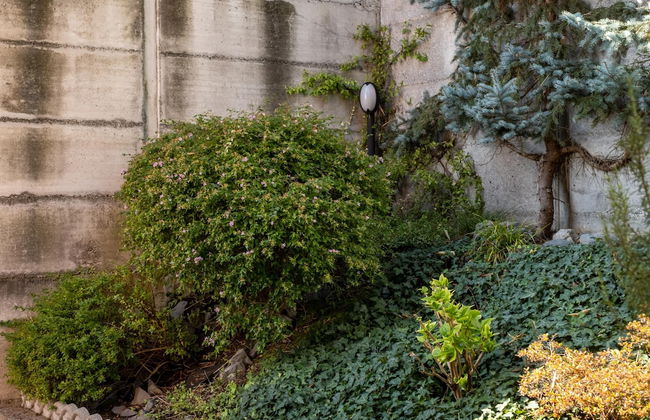 La Casa di Sarah in Solto Collina - Foto 33