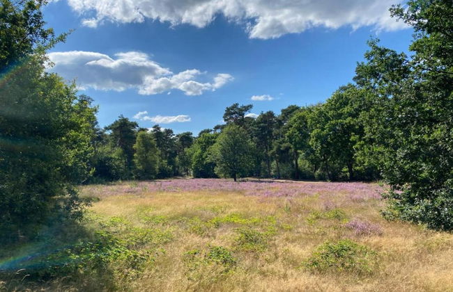 Villa in Someren Near Golf Course - Photo 41