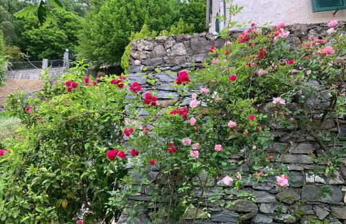 Il Giardino di Piero - LT-0029 - Foto 45