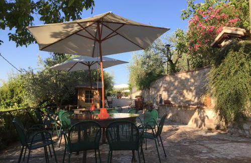 Il renaiolo - Foto 31