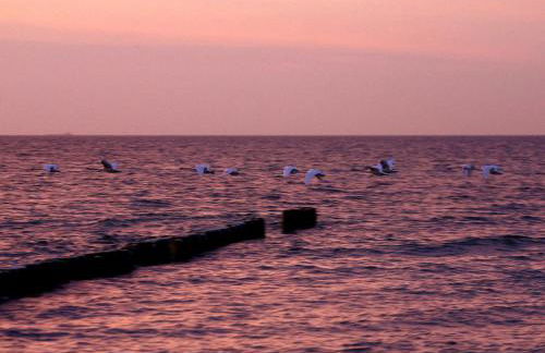 Ferienwohnung am Dorfrand - Foto 4