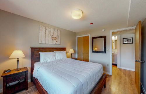 Okemo Mountain Lodge B203 - Foto 11