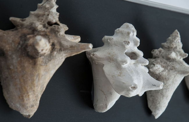 Holiday Home Near the Sea - Foto 41