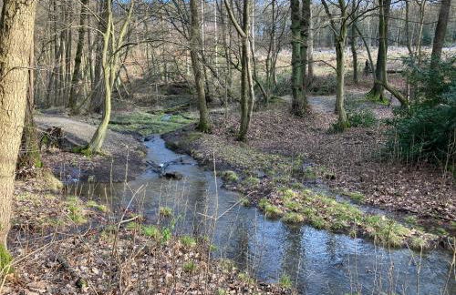 Ferienwohnung im Grünen mit Balkon - Foto 41