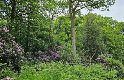 Folly View - Private, peaceful apartment with stunning views. - Foto 56