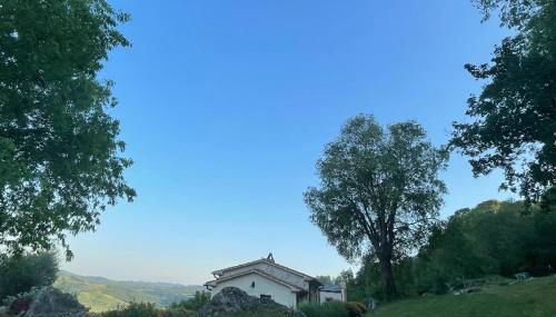 Il Nido del Falco nelle Antiche Mura - Foto 5, Garden