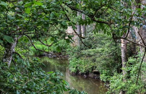 1 Bedroom Lovely Apartment In Irrhausen - Foto 21
