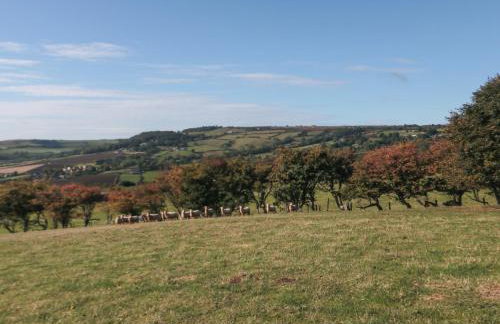 The Shepherd's Rest - Foto 23