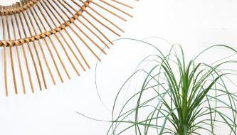 Cestaria Costa Nova - Foto 2