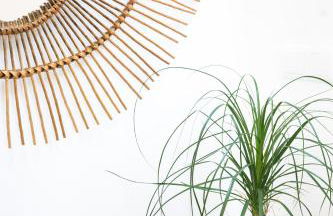 Cestaria Costa Nova - Foto 2