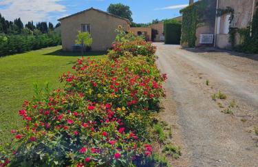 Mas Saint Jean - Foto 37