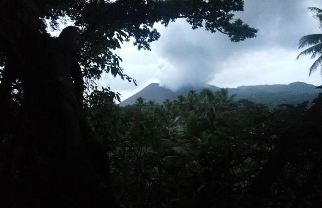 Castle Tree House - Photo 58