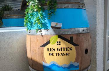 Les gîtes de Vensac - Foto 17