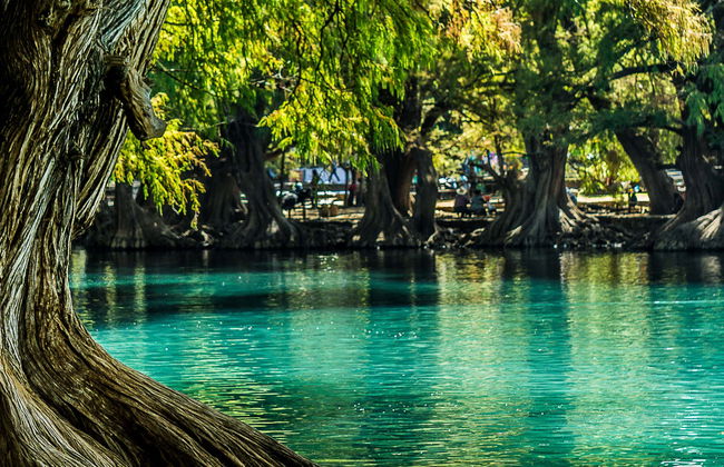Cathedral of Our Lady of Guadalupe & Lake Camécuaro Tour - Photo 2