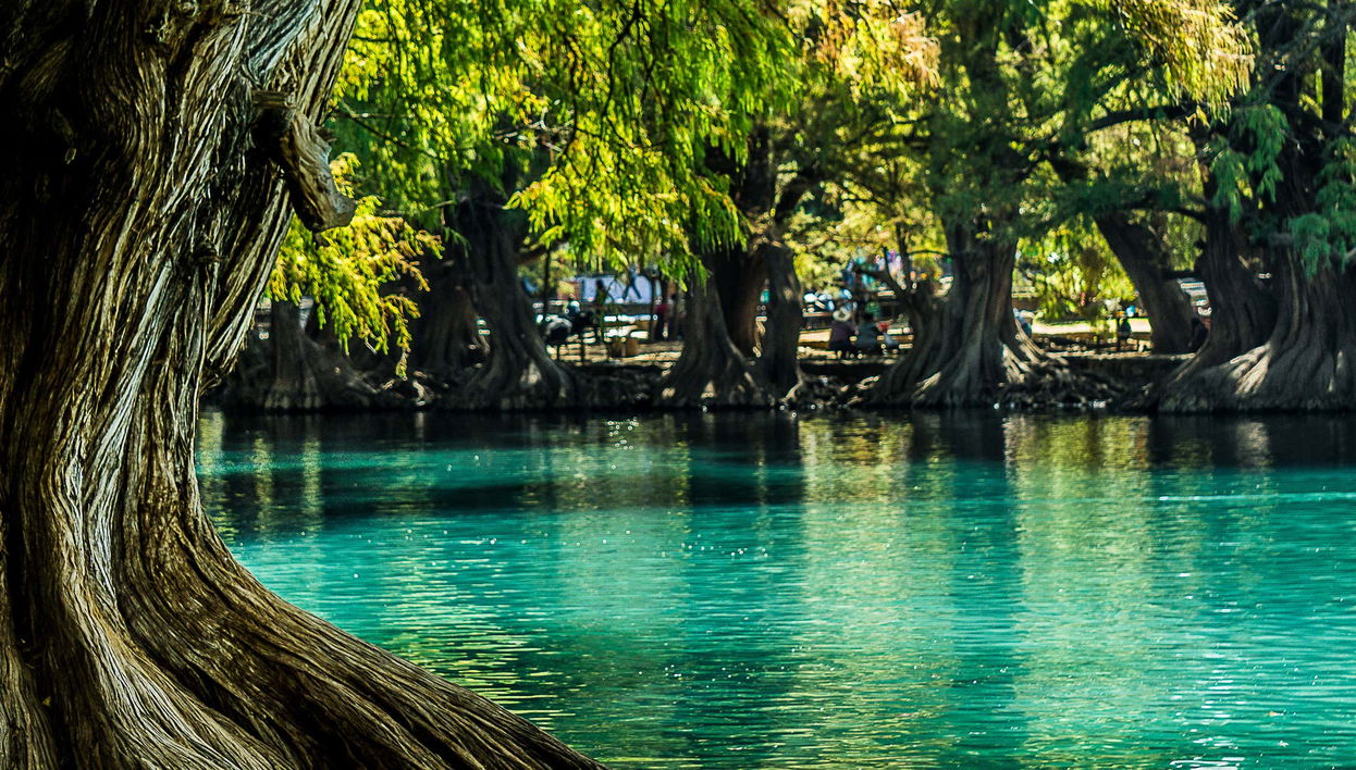 Excursión al santuario Guadalupano y lago de Camécuaro
