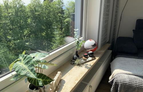 Fuchsenstein 44 - Foto 7